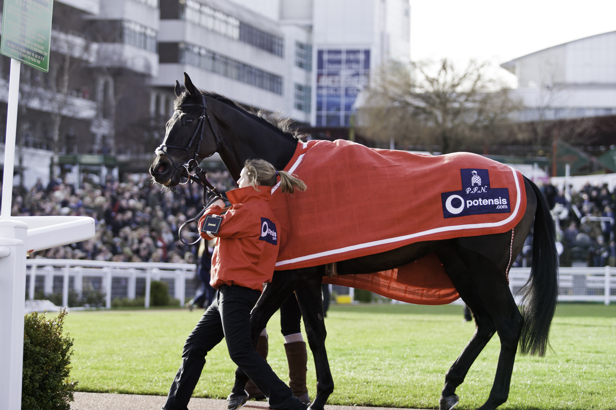 Cheltenham Wednesday - Queen Mother Champion Chase. Hospitality & Tickets