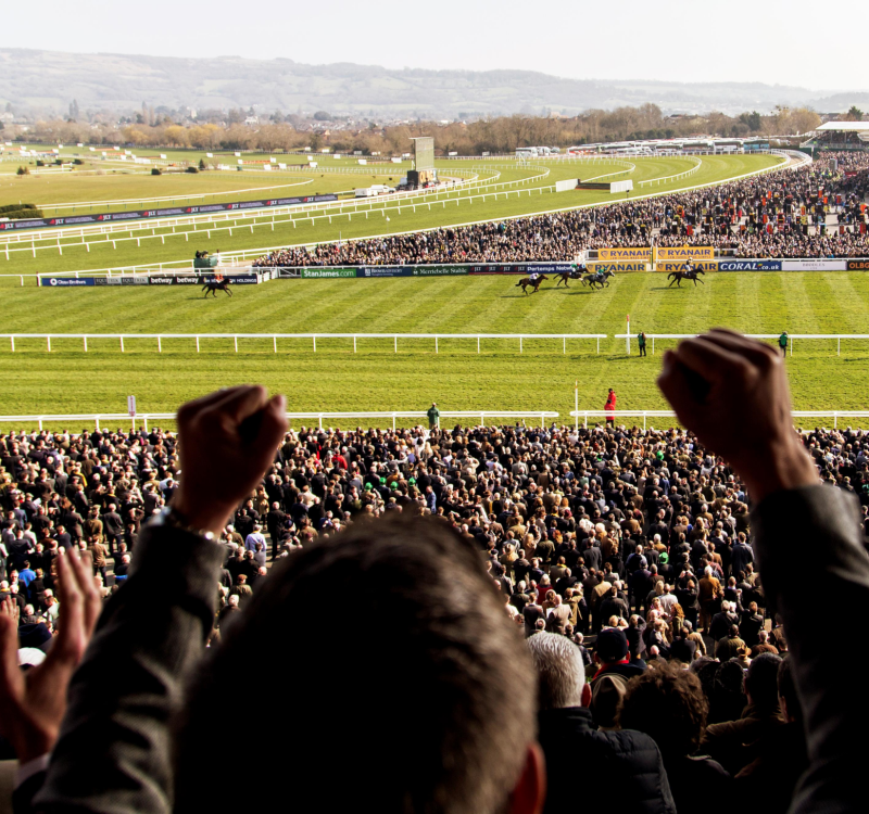 Great Views at Cheltenham Festival with Stadium Events