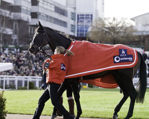 Cheltenham Wednesday - Queen Mother Champion Chase. Hospitality & Tickets